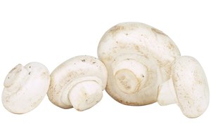Los champiñones blancos vienen cargados con cobre, fósforo y antioxidantes.