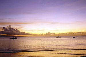 Siete de los sitios de caminata están en la playa.