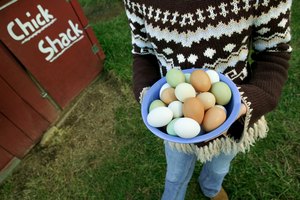 Los huevos son una fuente excelente de vitamina B5.