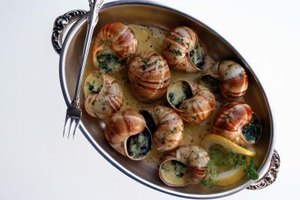 Shell fresh