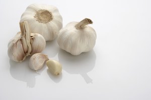 Consulta a tu médico para determinar si podrías beneficiarte de algún complemento de micronutrientes.
