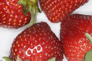 Las fresas (strawberries) están llenas de vitamina C, que es importante para el crecimiento de los huesos.