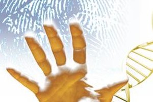 Comstock Images/Stockbyte/Getty Images Foundational biology courses will help students more clearly understand DNA behavior and structure, which are essential concepts in forensic science.