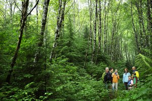 En el parque Starved Rock puedes recorrer sus 13 millas de senderos que están abiertos todo el año.