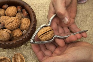 Hombre abriendo nueces.