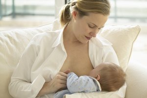 El té de semilla de hinojo es bueno para las madres lactantes.