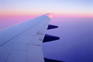 Los vuelos de ojos rojos a menudo viajan durante el amanecer.