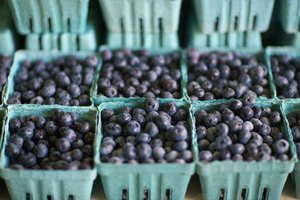Las bayas de asaí contienen 10 veces más vitaminas antioxidantes que las uvas y dos veces más que los arándanos.