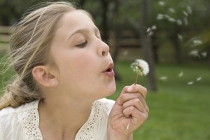 Niña soplando un diente de león.