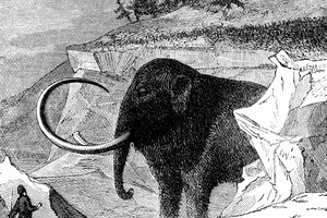 El mamut lanudo está entre los mamíferos prehistóricos mejor conocidos.