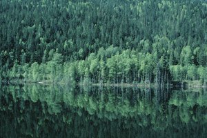 El Okanagan Valley, British Columbia, es vistoso y remoto.