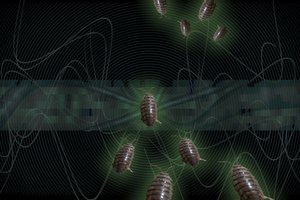 Los virus disfrazan sus archivos con nombres legítimos para pasar desapercibidos.