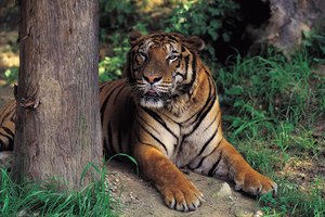 En el Zoológico Nacional una señal que te indicará el camino para continuar con una larga carrera.