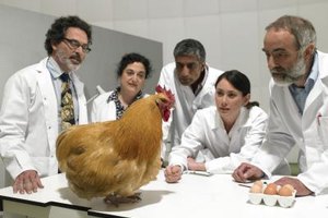 Michael Blann/Digital Vision/Getty Images It took years of research, scientific inquiry and poultry interrogation to figure out how to scramble eggs in their shells.
