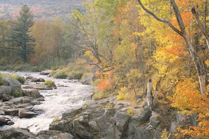 A partir de Seaton Creek puedes emprender excursiones para deleitarte con los hermosos paisajes.
