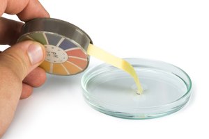 Tiras de pH usadas para medir la acidez.