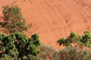 Rodeando la base de Uluru revela la compleja composición de la roca.