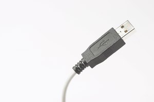 Conector standard USB tipo A.