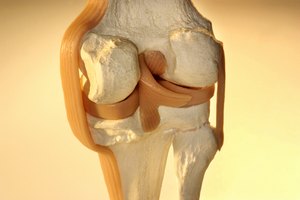 Este vegetal contiene vitamina K que beneficia a tus huesos.