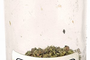 El aceite hecho de orégano trata a algunas infecciones por hongos.