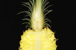 Aprende más sobre esta deliciosa fruta.