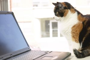 El navegador Mozilla Firefox ocasionalmente se niega a cargar páginas web.