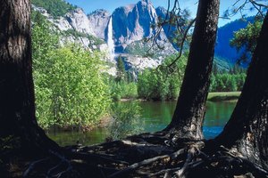 Bass Lake es un pueblo pequeño en Sierra Mountains, California.