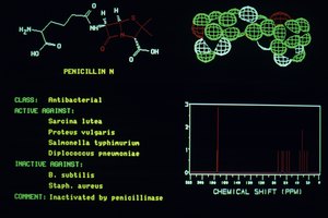 Penicilina