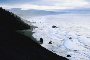 Las olas rompen en el Redwood National Park de California.
