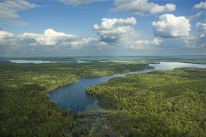 Se puede acampar en tienda de campaña en algunos de los paisajes más salvajes de Florida.