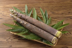 Cañas de bamboo.