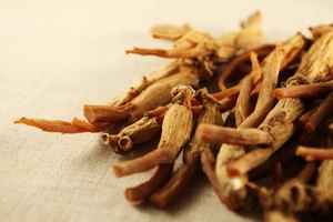 Raíces secas de ginseng siberiano.