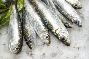 Sardinas frescas.