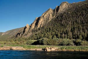 Bayfield se encuentra a lo largo de una ruta de migración de ciervos corriendo entre Durango y Pagosa Springs.