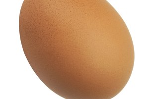 Los huevos frescos de granja son una fuente saludable de proteínas -trata de comprarlos de un granjero o vendedor privado en lugar de una tienda, para ahorrar dinero-.
