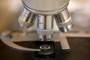 Microscopio compuesto.