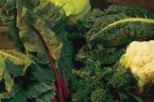 Aumentar las cantidades de verduras de hoja verde y de salvado en tu dieta puede reducir el estrógeno.