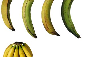 El plátano tiene un alto contenido de vitamina B6.