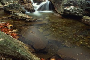 Al recorrer el sendero Glen Burney podrás admirar hermosas cascadas.