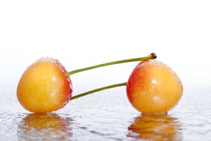 Cerezas Rainier.