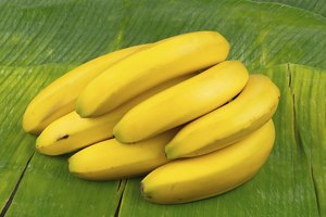 Plátanos.