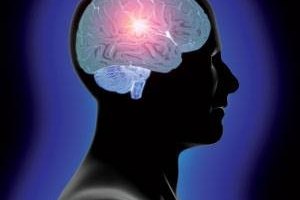 http://images.google.com/imgres?imgurl=http://www.ucdmc.ucdavis.edu/welcome/features/20071017_Medicine_whitematter/Photos/head_and_brain.jpg&imgrefurl=http://www.ucdmc.ucdavis.edu/welcome/features/20071017_Medicine_whitematter/index.html&usg=__yPt2gr3c4yrv7pw6oKi7fqTOfzs=&h=300&w=300&sz=14&hl=en&start=13&tbnid=Wfyo3VntaVTAmM:&tbnh=116&tbnw=116&prev=/images%3Fq%3Dbrain%26gbv%3D2%26hl%3Den%26sa%3DG Mind