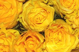 Sympathy Flowers Flower Meaning The Ftd Exquisite Tribute Standing Spray