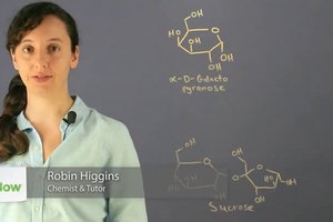Why Is Galactose Classified as a Simple Sugar?