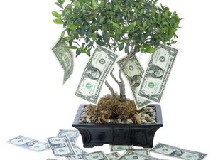 Selling put options on dividend stocks