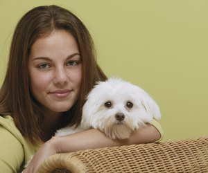 stains brown light dog dogs colored rid yellow hair