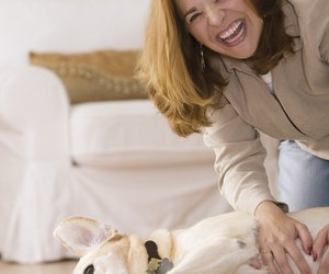 paws dogs why sore lick dog until thumps leg mean does its
