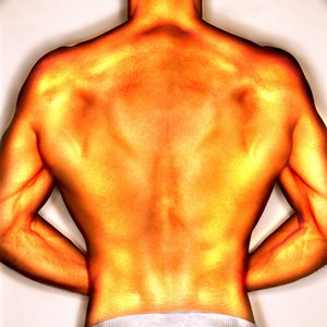 Are Lower Back Extension Machines Good or Bad?