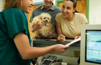 how much do vet receptionists make an hour