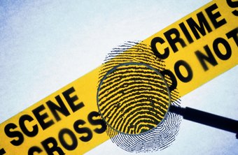 Essay want crime scene investigator